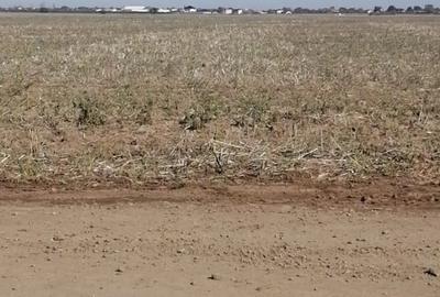 Teren Adunatii Copaceni - 2