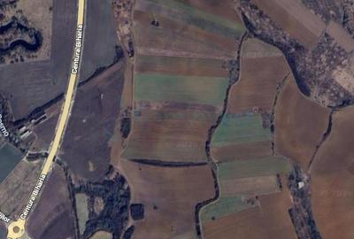 Teren Construcții intravilan de 23348 mp, în Biharia - 1