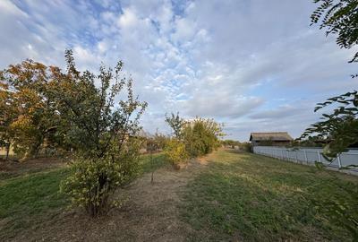 Teren Intravilan Becicherecu Mic In Vatra Satului,1104 mp,Fs. 14m Teren Intravilan Becicherecu Mic In Vatra Satului,1104 mp,Fs. 14m - 3