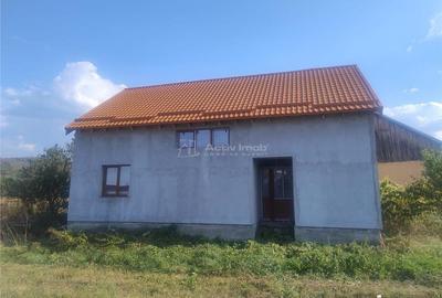 Sadova Veche, Casa la Sosea, cu Teren 3251Mp - 13