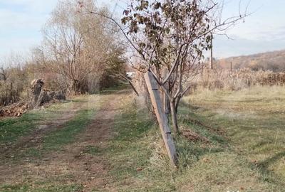 Teren de 3360 mp, în Aninoasa - 8