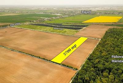 Teren de 5700 mp, în Răcari - 1