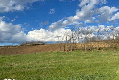 Spațiu comercial, în Rediu - 1