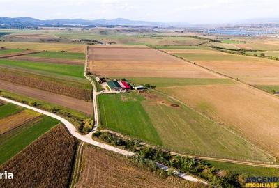 Teren de 18000 mp, în Feldioara - 5