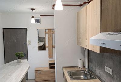Inchiriez apartament 1 camera Str. Cocorilor - 4