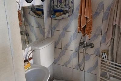 Casa langa Gradina Cismigiu - 8