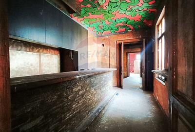 Vanzare Vila Interbelica Stradala, Pta Regina Maria, Ocazie Investitie - 26