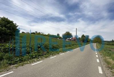 Teren de vanzare, Sat Valea Mare, Com. Ro?iori, Bacau - 2