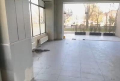 Spatiu comercial - Nicolina prima statie - la Bulevard - 3