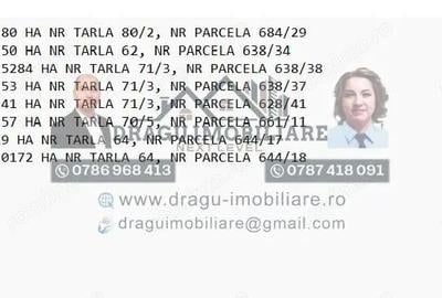 Teren de 75000 mp, în Munteni - 3