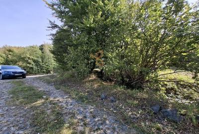 Comision 0. Teren cu autorizatie de construire in Salicea Comision 0. Teren cu autorizatie de construire in Salicea - 6