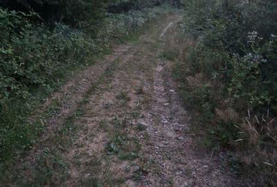 Teren de vanzare la Valiug 1000-3000mp ID 1218 - 3