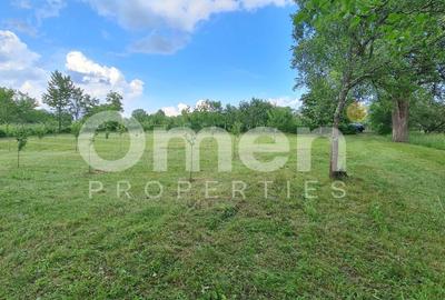 Teren Construcții intravilan de 1700 mp, în Vălenii Șomcutei - 1