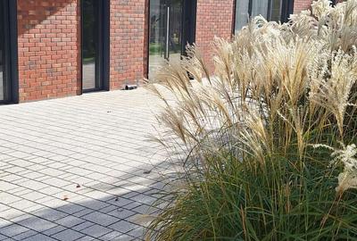 Apartament de 3 camere Timisoara, central,  81.2 mp utili - 7