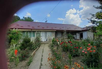 Casă cu 3 camere în Cănțălărești - 1