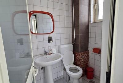 Casă cu 10 camere cu Teren 1293 Mp în Craiovei - 10