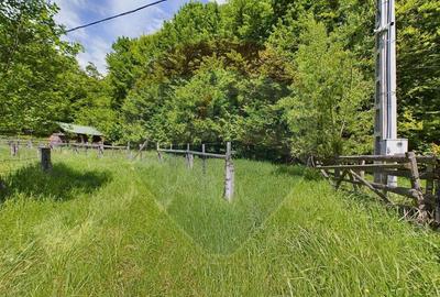 Comision 0%! Proprietate in natura, priveliste superba, S... - 2