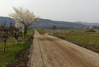 Spațiu comercial, în Central