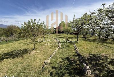 Casă cu 3 camere cu Teren 6790 Mp în Copalnic - 10