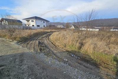 Teren de 1250 mp, în Bascov - 2