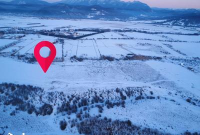 Teren de 5000 mp, în Pănicel - 2