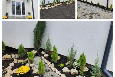 Vila de lux Harman Vila de lux Harman - 12