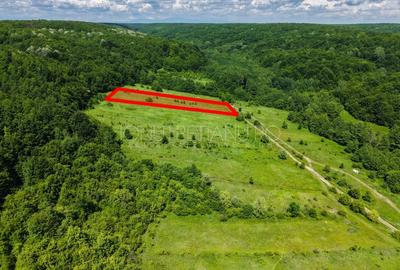 Teren agricol extravilan de 5500 mp, în Valea Mare-Podgoria - 1