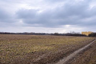 Teren agricol extravilan de 21500 mp, în Gruiu - 1