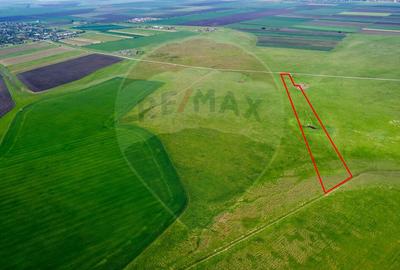 Teren agricol 5 ha, extravilan, 52 m deschidere la ?osea - 5