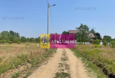 Teren de 1000 mp, în Domnești