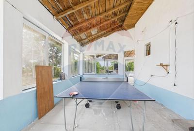 Proprietate specială, de 937 mp, în Dragomirești-Deal - 29