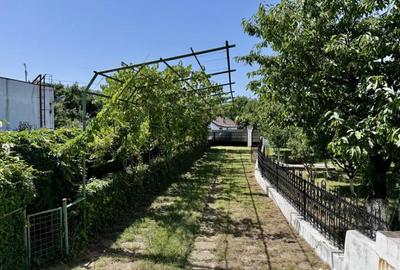 Casă cu 7 camere cu Teren 1150 Mp în Siliștea Snagovului - 18