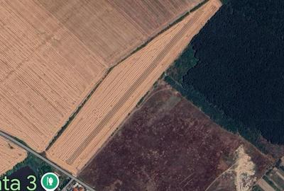 Teren Construcții extravilan de 35000 mp, în Petrăchioaia - 4