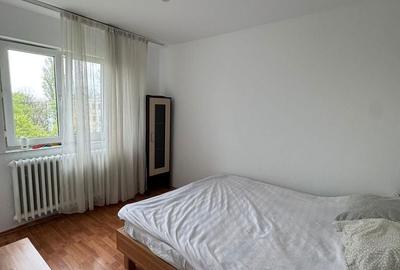 Apartament cu 2 camere semidecomandat în Baziaș - 4