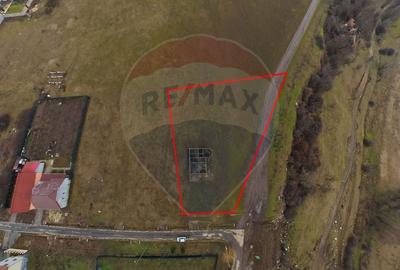Teren Construcții intravilan de 2651 mp, în Frumușeni - 1