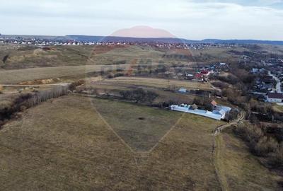 Teren agricol intravilan de 2592 mp, în Lipoveni - 11