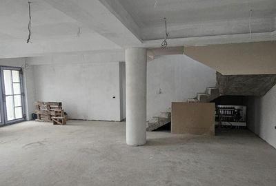 Casa individuala P+M de vanzare in Satu Costi - 11