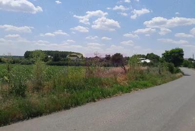 TEISORI /GR - 2 LOTURI LIPITE (TOT. 16500 MP) DE VZ 100K EUR NEG - 1