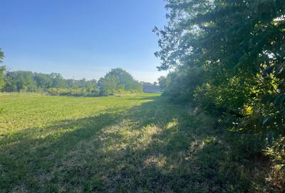 Teren intravilan 4.200 mp Murighiol - 15