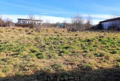 Teren intravilan 2500 mp Cisnadie Teren intravilan 2500 mp Cisnadie - 3