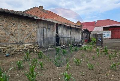 Comision 0! Casa din inima Subcarpaților — comuna Cislau, teren 5000mp - 17