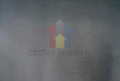 Casă cu 4 camere în Nicolae Bălcescu - 10