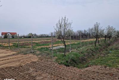 Teren de 1275 mp, în Păulești - 1