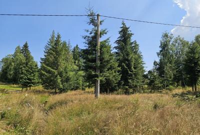 Teren de 9466 mp, în Dealu Negru - 3