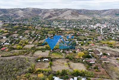 Teren intravilan NICULITEL, zona deosebita, 3044MP - 10