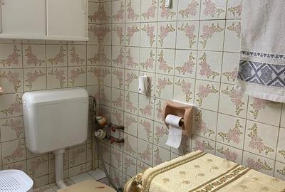 Bucur Obor , Colentina , Teiul Doamnei - 9