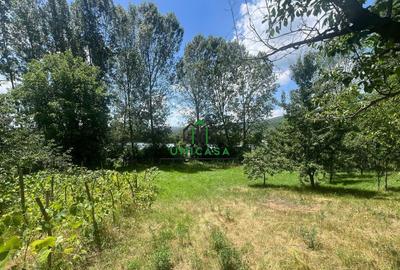 Teren de 3200 mp, în Goranu