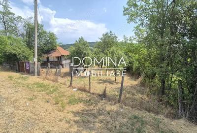 Casă cu 2 camere cu Teren 5209 Mp în Mușetești - 2