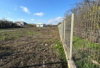 Teren de 5200 mp, în Bereasca - 6