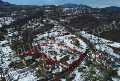 Teren de 3011 mp, în Bradu - 4